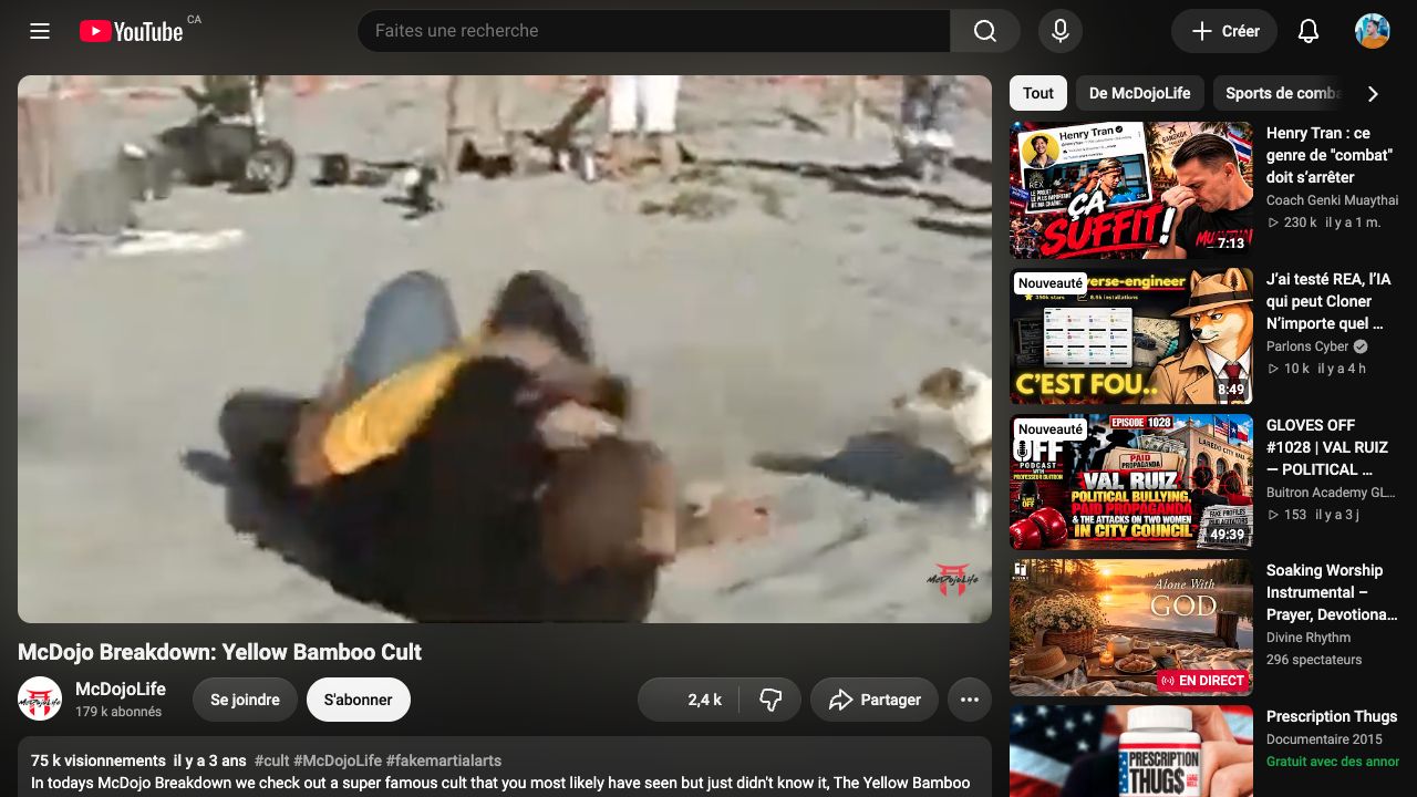 Page YouTube McDojoLife contenant la séquence de plage